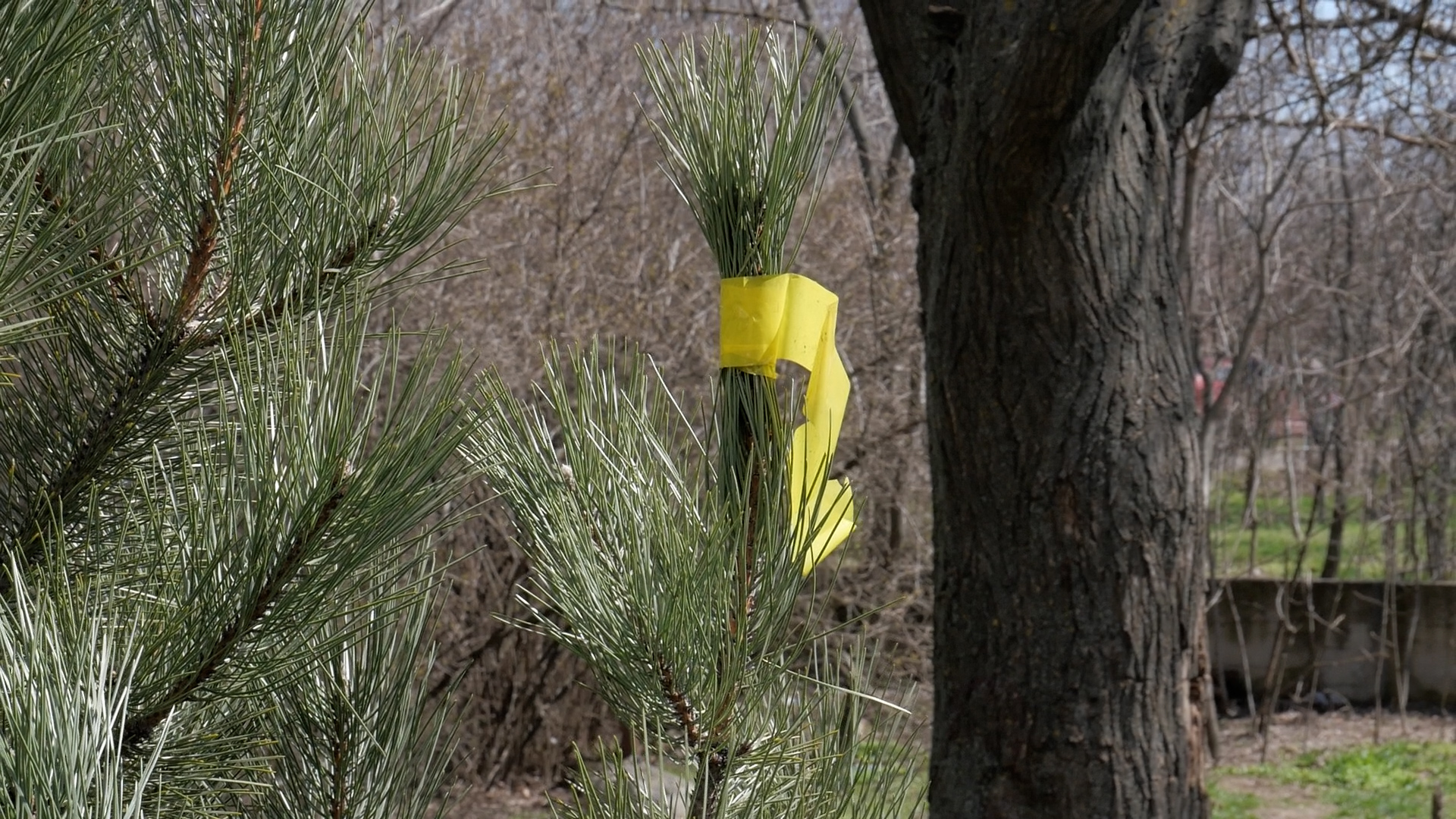 Субботник в парке Юность (Видео)