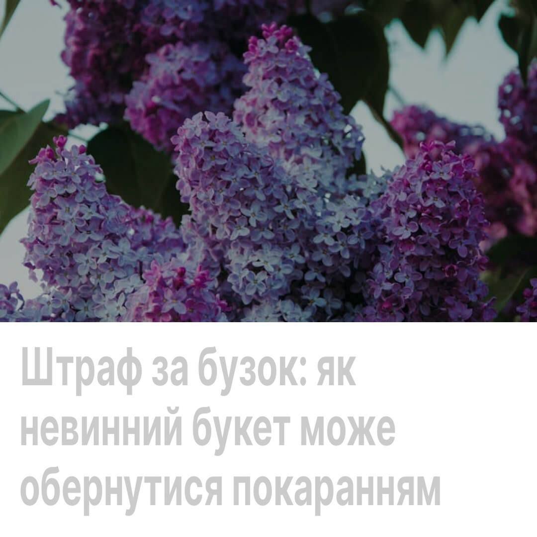 Штраф 1360 грн за зламаний бузок